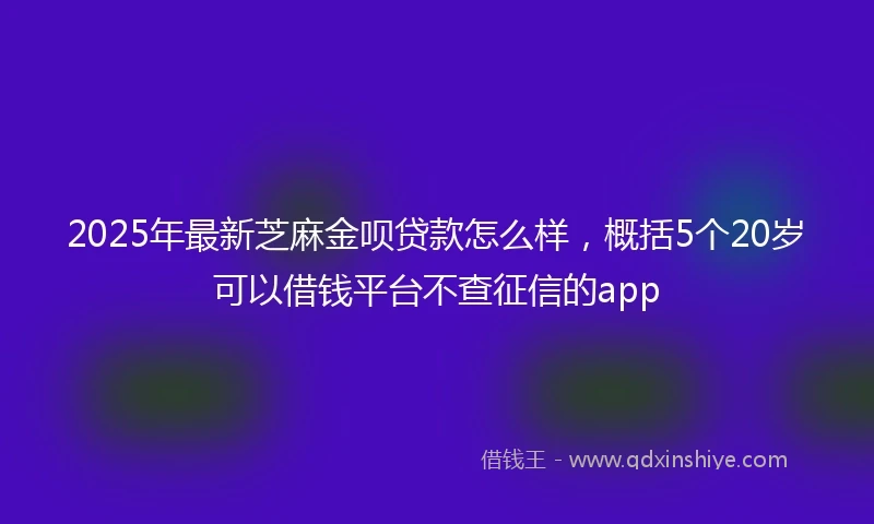 2025年最新芝麻金呗贷款怎么样，概括5个20岁可以借钱平台不查征信的app