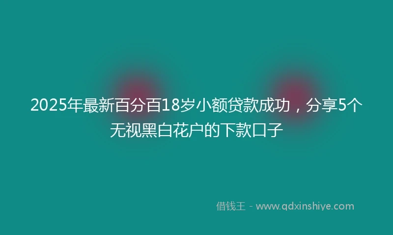 2025年最新百分百18岁小额贷款成功，分享5个无视黑白花户的下款口子
