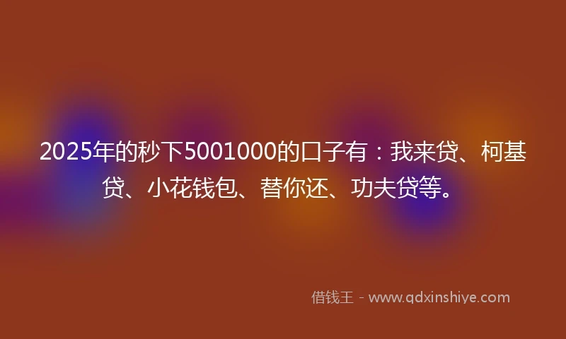 2025年的秒下5001000的口子有：我来贷、柯基贷、小花钱包、替你还、功夫贷等。