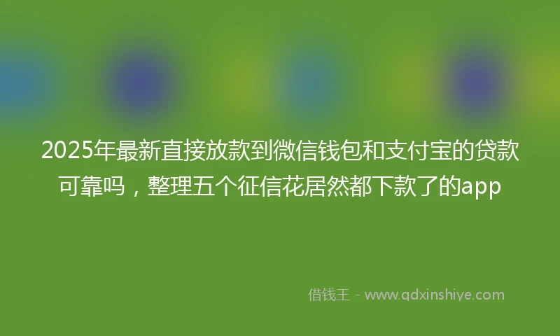 2025年最新直接放款到微信钱包和支付宝的贷款可靠吗，整理五个征信花居然都下款了的app