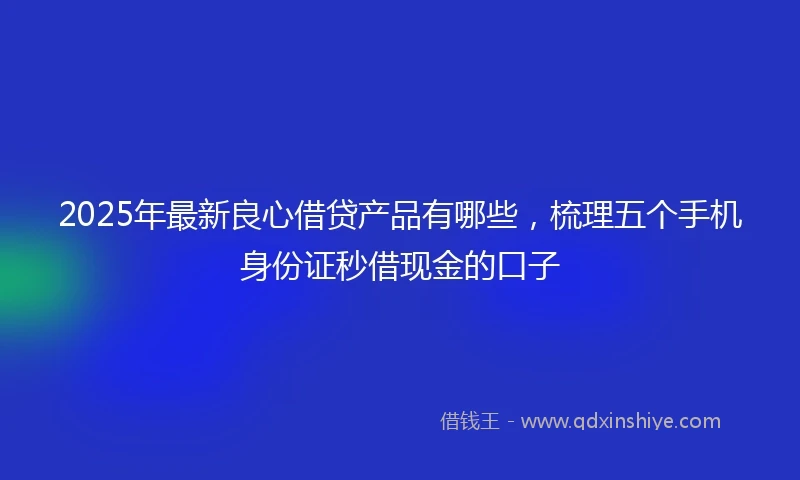 2025年最新良心借贷产品有哪些，梳理五个手机身份证秒借现金的口子