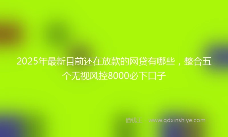 2025年最新目前还在放款的网贷有哪些，整合五个无视风控8000必下口子