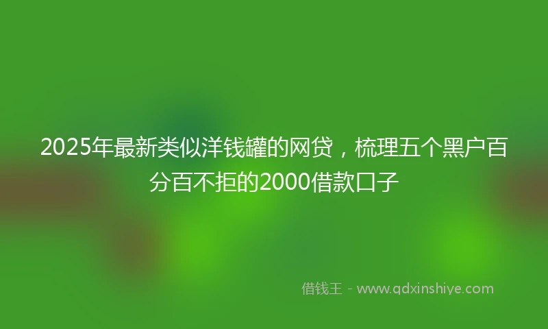 2025年最新类似洋钱罐的网贷，梳理五个黑户百分百不拒的2000借款口子