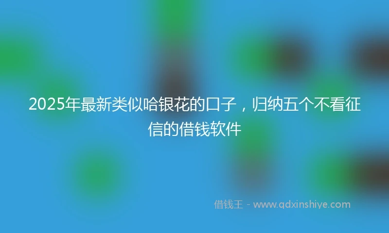 2025年最新类似哈银花的口子，归纳五个不看征信的借钱软件