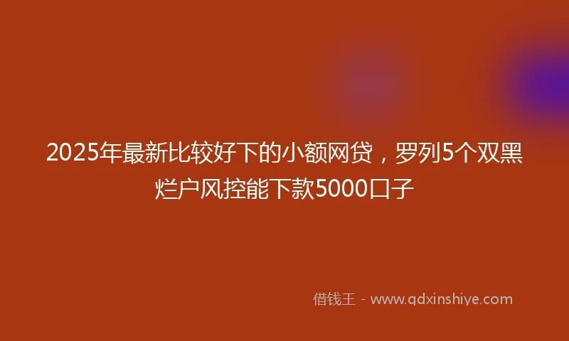 2025年最新比较好下的小额网贷，罗列5个双黑烂户风控能下款5000口子