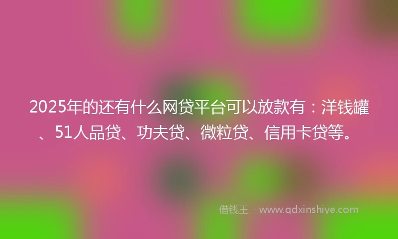 2025年的还有什么网贷平台可以放款有：洋钱罐、51人品贷、功夫贷、微粒贷、信用卡贷等。