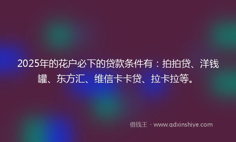 2025年的花户必下的贷款条件有：拍拍贷、洋钱罐、东方汇、维信卡卡贷、拉卡拉等。