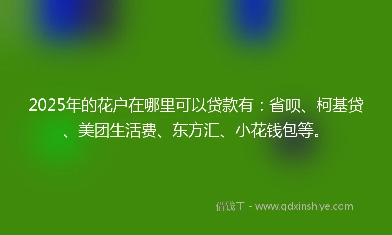 2025年的花户在哪里可以贷款有：省呗、柯基贷、美团生活费、东方汇、小花钱包等。