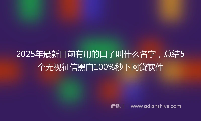 2025年最新目前有用的口子叫什么名字，总结5个无视征信黑白100%秒下网贷软件