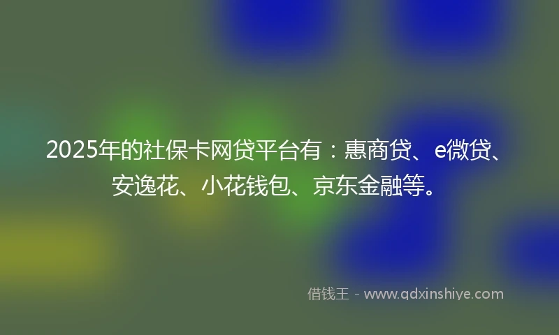 2025年的社保卡网贷平台有：惠商贷、e微贷、安逸花、小花钱包、京东金融等。