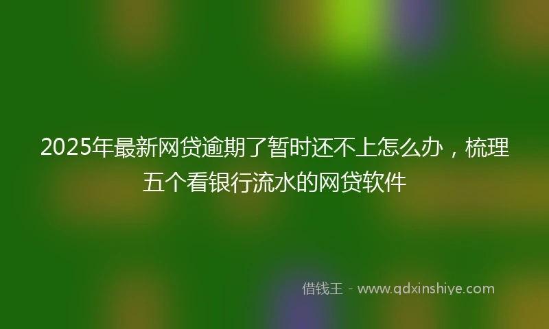 2025年最新网贷逾期了暂时还不上怎么办，梳理五个看银行流水的网贷软件
