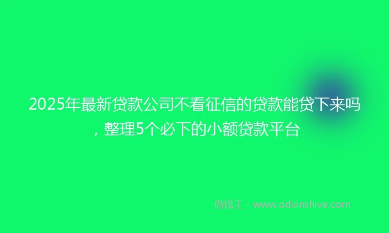 2025年最新贷款公司不看征信的贷款能贷下来吗，整理5个必下的小额贷款平台