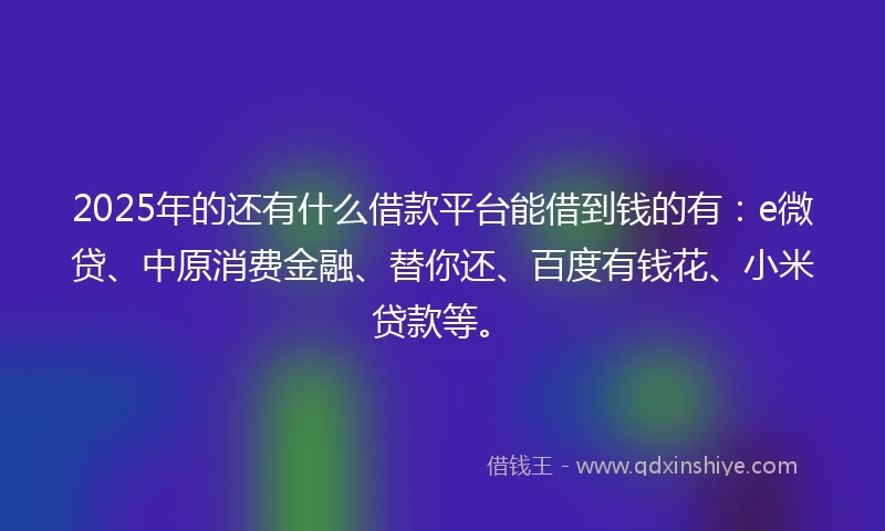 2025年的还有什么借款平台能借到钱的有：e微贷、中原消费金融、替你还、百度有钱花、小米贷款等。