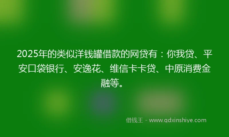2025年的类似洋钱罐借款的网贷有：你我贷、平安口袋银行、安逸花、维信卡卡贷、中原消费金融等。