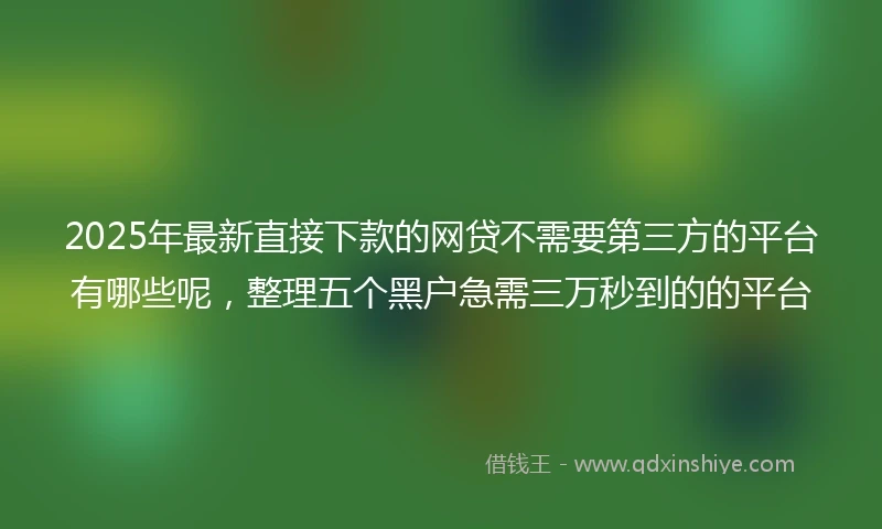 2025年最新直接下款的网贷不需要第三方的平台有哪些呢，整理五个黑户急需三万秒到的的平台