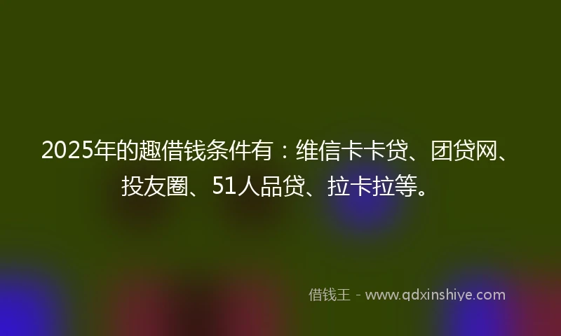 2025年的趣借钱条件有：维信卡卡贷、团贷网、投友圈、51人品贷、拉卡拉等。