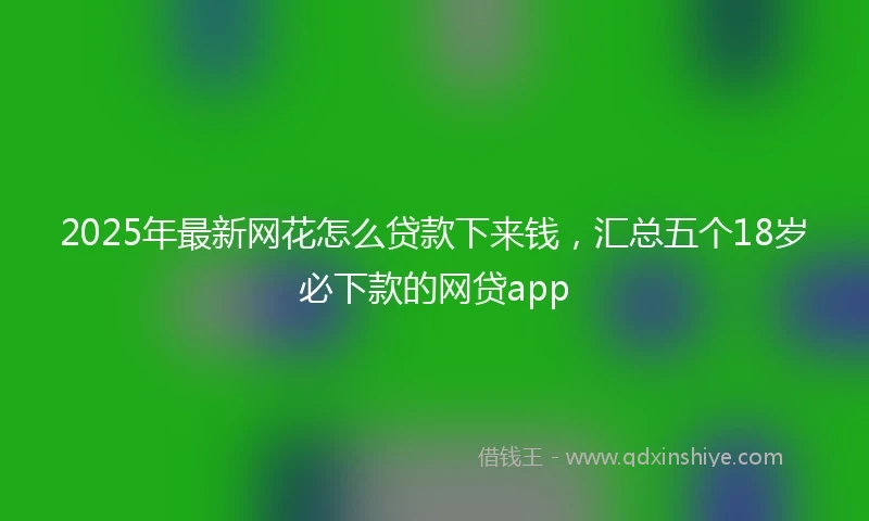 2025年最新网花怎么贷款下来钱，汇总五个18岁必下款的网贷app