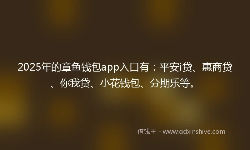 2025年的章鱼钱包app入口有：平安i贷、惠商贷、你我贷、小花钱包、分期乐等。