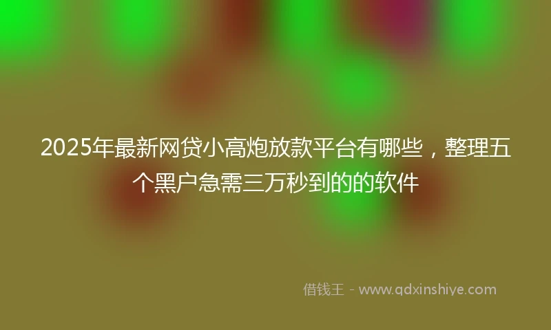 2025年最新网贷小高炮放款平台有哪些，整理五个黑户急需三万秒到的的软件