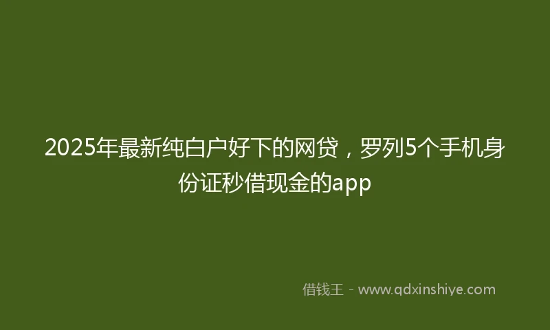 2025年最新纯白户好下的网贷，罗列5个手机身份证秒借现金的app