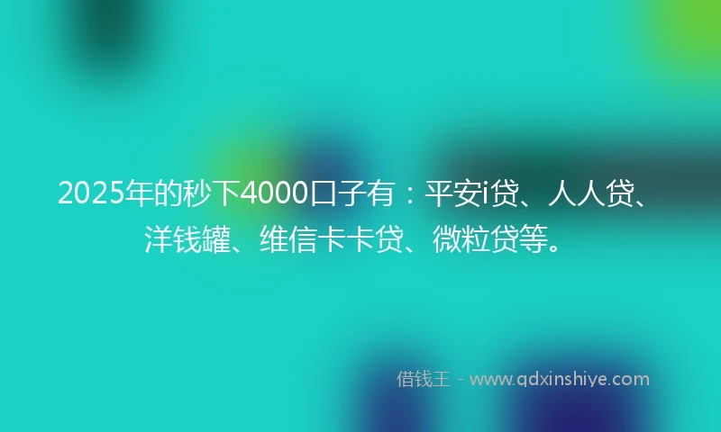 2025年的秒下4000口子有：平安i贷、人人贷、洋钱罐、维信卡卡贷、微粒贷等。