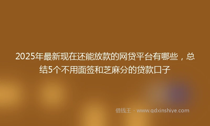 2025年最新现在还能放款的网贷平台有哪些，总结5个不用面签和芝麻分的贷款口子