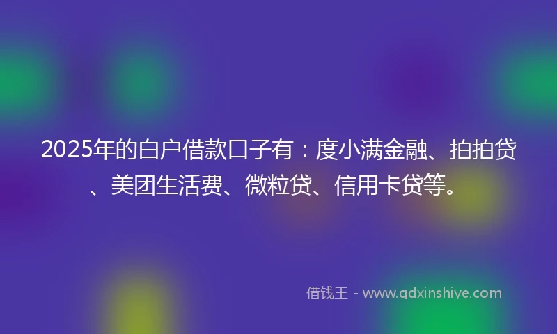 2025年的白户借款口子有：度小满金融、拍拍贷、美团生活费、微粒贷、信用卡贷等。