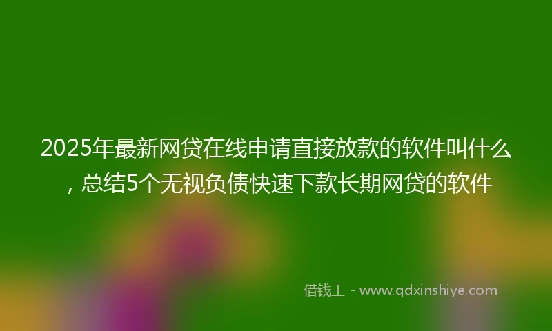 2025年最新网贷在线申请直接放款的软件叫什么，总结5个无视负债快速下款长期网贷的软件