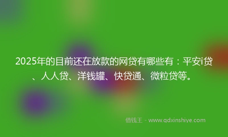 2025年的目前还在放款的网贷有哪些有：平安i贷、人人贷、洋钱罐、快贷通、微粒贷等。