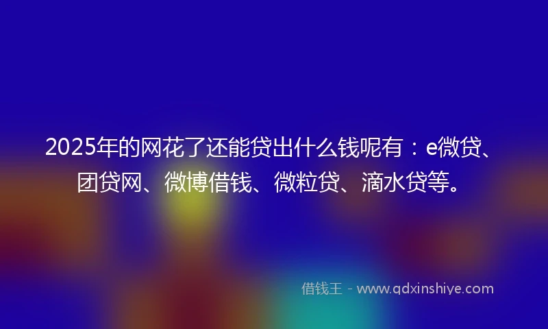 2025年的网花了还能贷出什么钱呢有：e微贷、团贷网、微博借钱、微粒贷、滴水贷等。