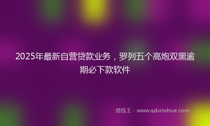 2025年最新自营贷款业务，罗列五个高炮双黑逾期必下款软件
