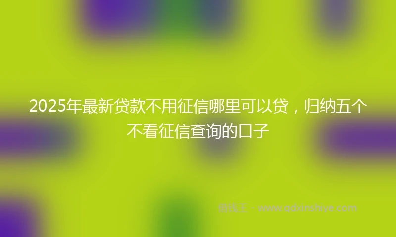 2025年最新贷款不用征信哪里可以贷，归纳五个不看征信查询的口子