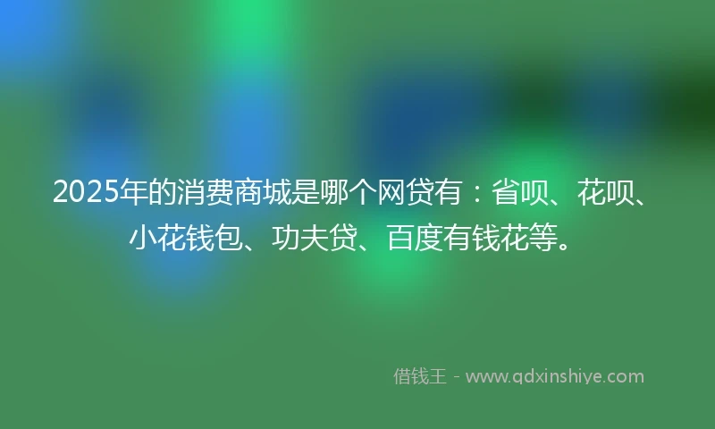 2025年的消费商城是哪个网贷有：省呗、花呗、小花钱包、功夫贷、百度有钱花等。