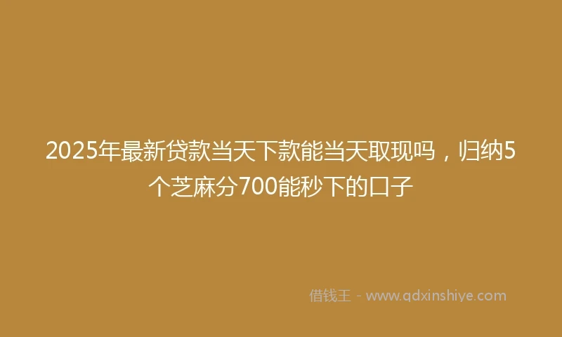2025年最新贷款当天下款能当天取现吗，归纳5个芝麻分700能秒下的口子