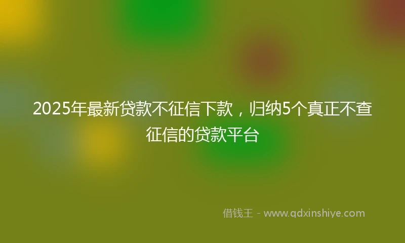 2025年最新贷款不征信下款，归纳5个真正不查征信的贷款平台