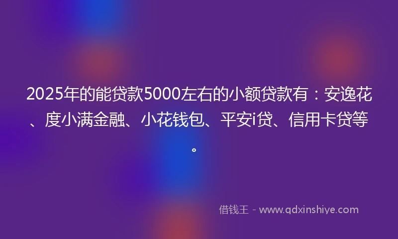 2025年的能贷款5000左右的小额贷款有:安逸花、度小满金融、小花钱包、平安i贷、信用卡贷等。