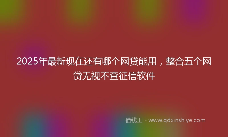 2025年最新现在还有哪个网贷能用，整合五个网贷无视不查征信软件