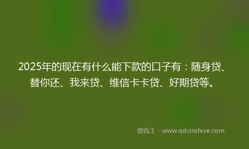 2025年的现在有什么能下款的口子有：随身贷、替你还、我来贷、维信卡卡贷、好期贷等。