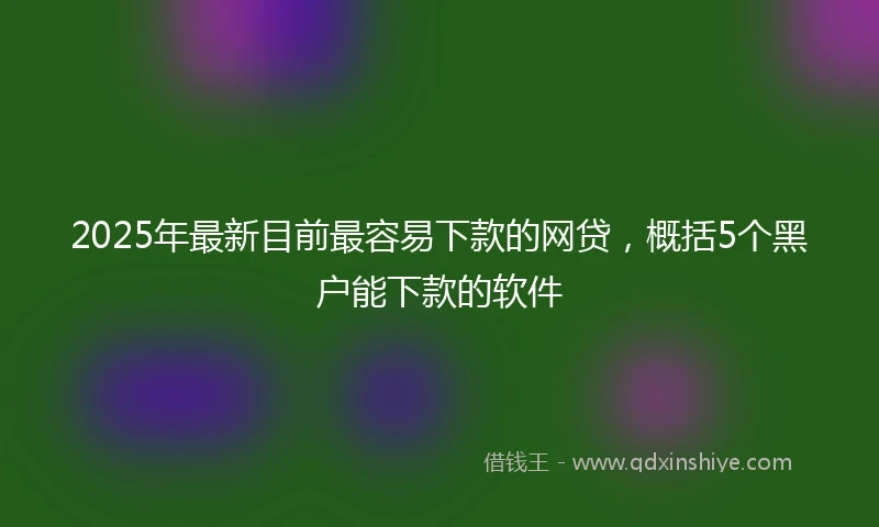 2025年最新目前最容易下款的网贷，概括5个黑户能下款的软件