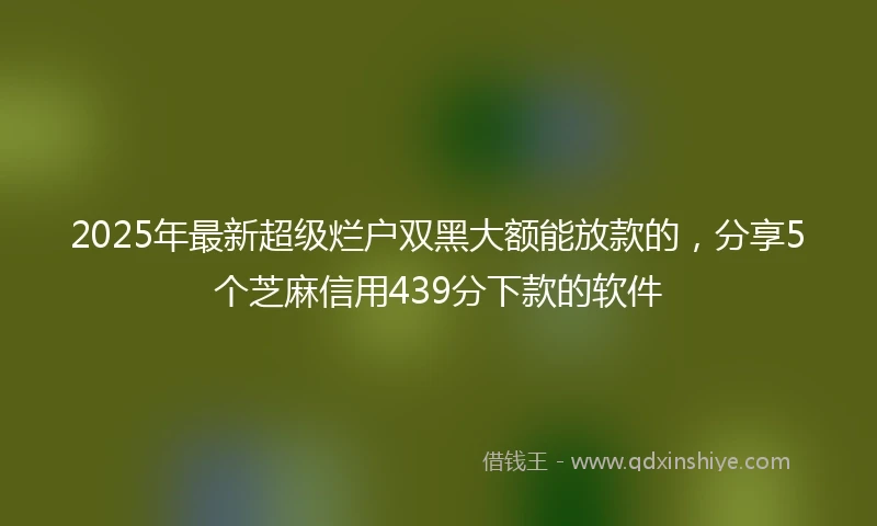 2025年最新超级烂户双黑大额能放款的，分享5个芝麻信用439分下款的软件