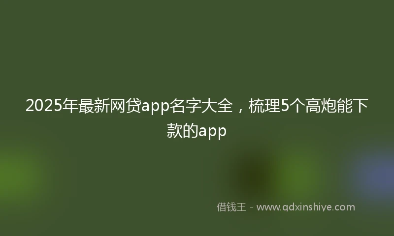 2025年最新网贷app名字大全，梳理5个高炮能下款的app