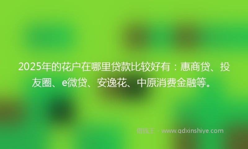 2025年的花户在哪里贷款比较好有：惠商贷、投友圈、e微贷、安逸花、中原消费金融等。