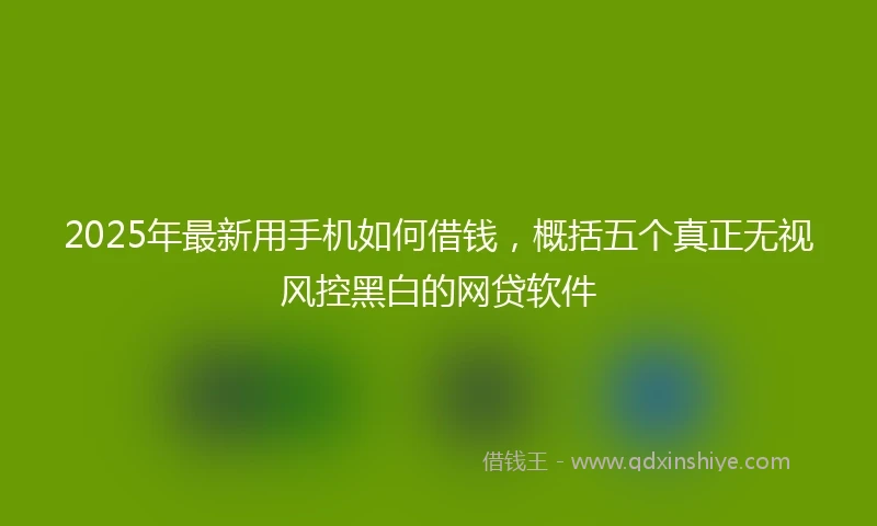 2025年最新用手机如何借钱，概括五个真正无视风控黑白的网贷软件