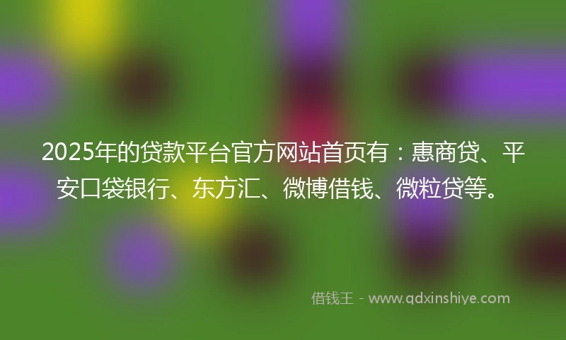 2025年的贷款平台官方网站首页有：惠商贷、平安口袋银行、东方汇、微博借钱、微粒贷等。