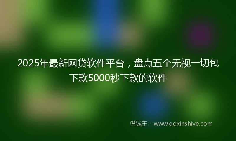 2025年最新网贷软件平台，盘点五个无视一切包下款5000秒下款的软件