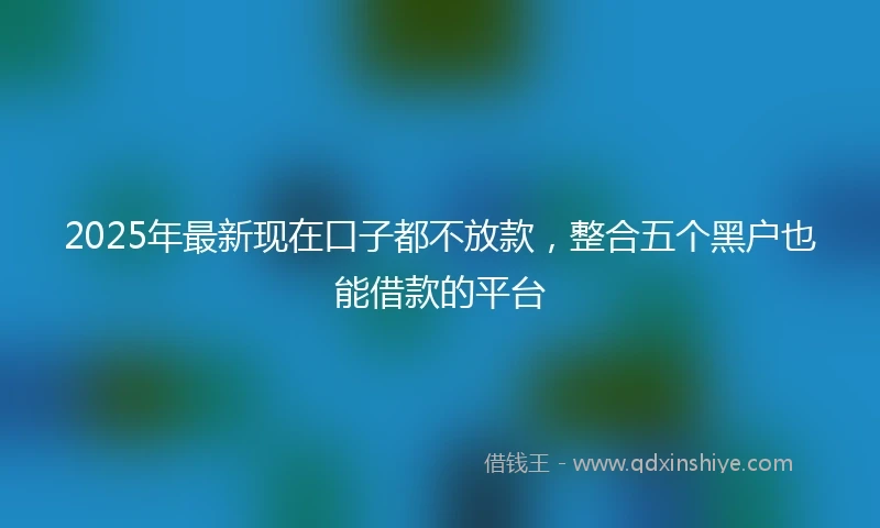 2025年最新现在口子都不放款，整合五个黑户也能借款的平台