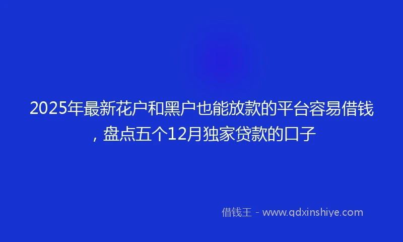 2025年最新花户和黑户也能放款的平台容易借钱，盘点五个12月独家贷款的口子