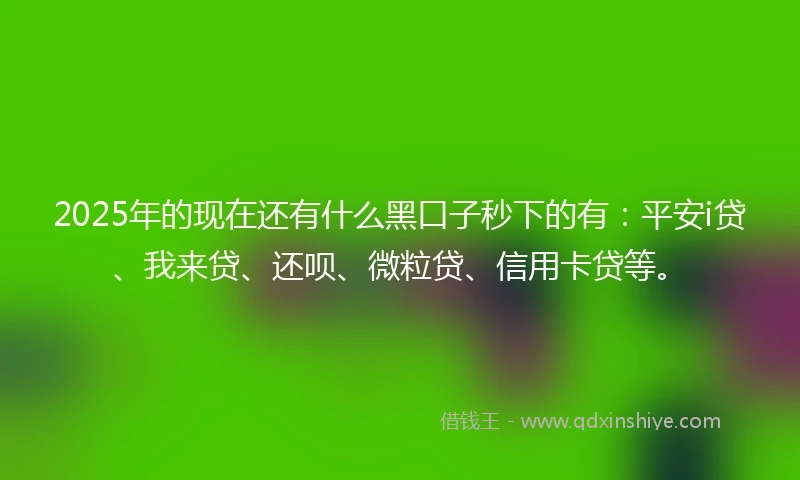 2025年的现在还有什么黑口子秒下的有：平安i贷、我来贷、还呗、微粒贷、信用卡贷等。