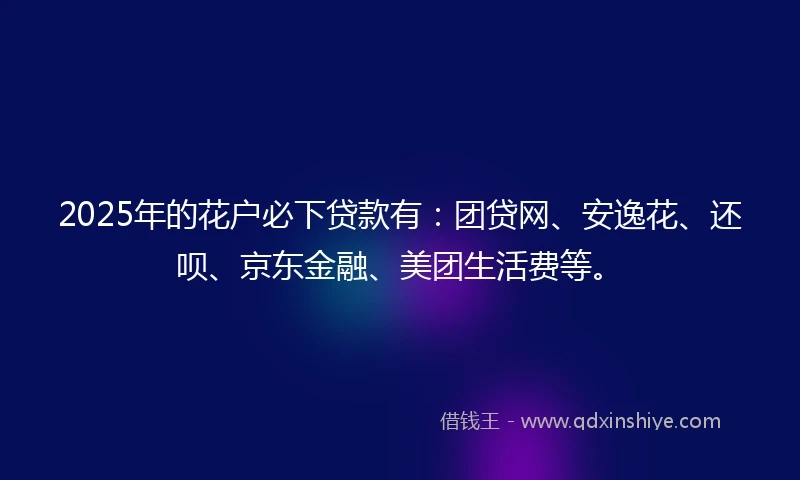 2025年的花户必下贷款有：团贷网、安逸花、还呗、京东金融、美团生活费等。