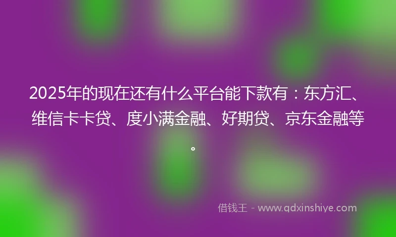 2025年的现在还有什么平台能下款有：东方汇、维信卡卡贷、度小满金融、好期贷、京东金融等。